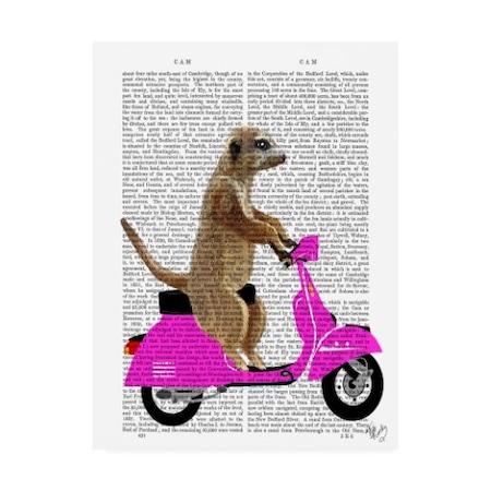 Fab Funky 'Meerkat On Pink Moped' Canvas Art,35x47